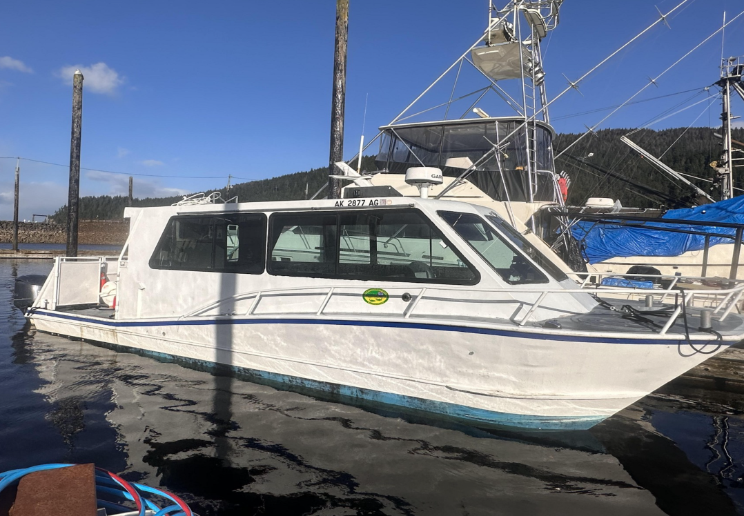 Icy Strait Whale Watching Adventure | Alaska Shore Excursions